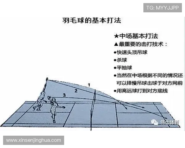 杭州羽毛球队中路突破的战术分析与未来发展展望 杭州羽毛球队中路突破的战术分析与未来发展展望