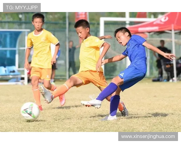 从青训到职业赛场足球明星的培养之路揭秘