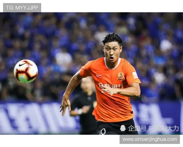 杭州排球队个人能力引发热议球员表现与团队协作的深度探讨